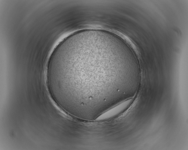 X0000112771432200909031602