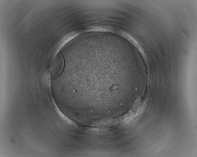 X0000112771433200909031602