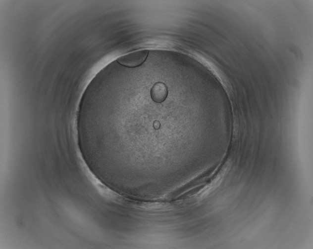 X0000112771434200909031602