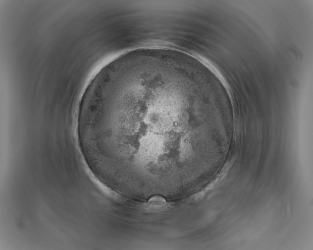 X0000112771437200909031602