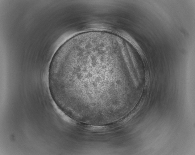 X0000112771439200909031602