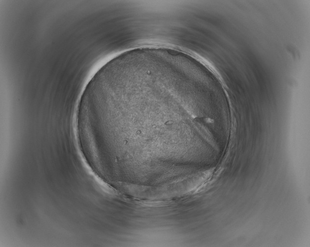 X0000112771440200909031602