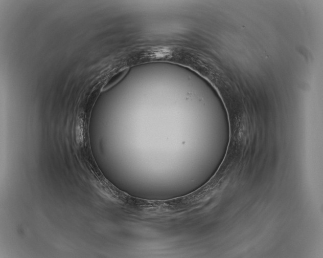 X0000112771442200909031601