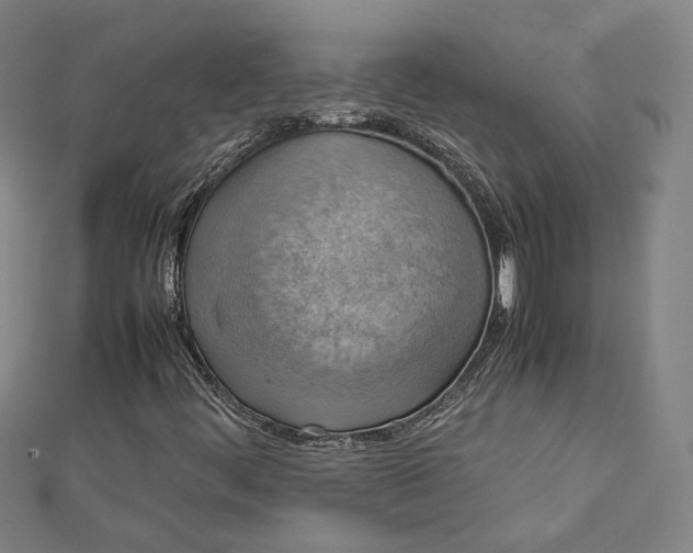 X0000112771444200909031601