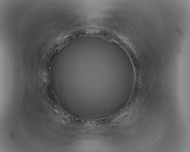 X0000112771445200909031601