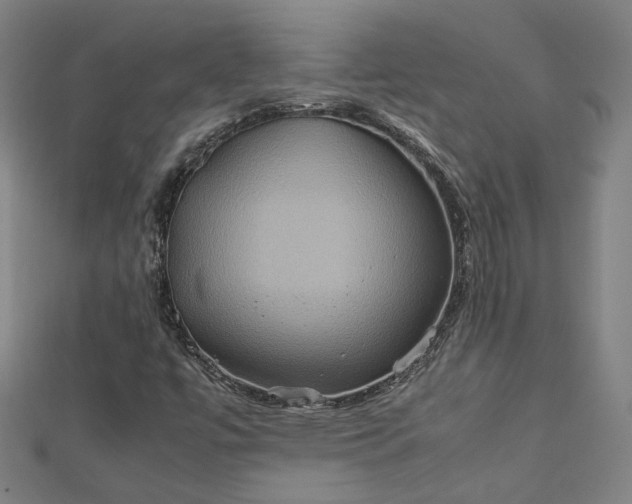 X0000112771447200909031601