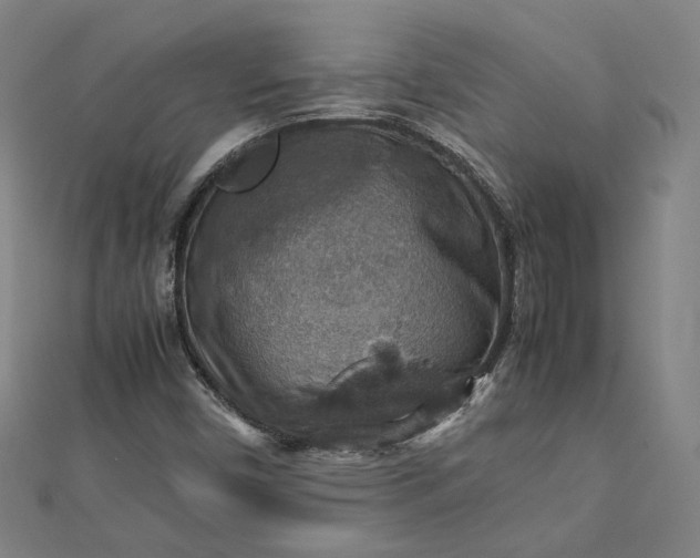 X0000112771450200909031601