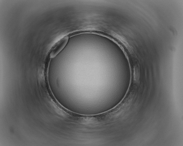 X0000112771452200909031601