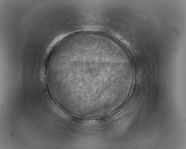 X0000112771454200909031601