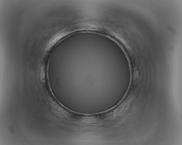 X0000112771455200909031601