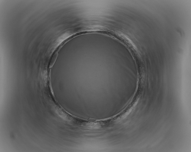 X0000112771457200909031601