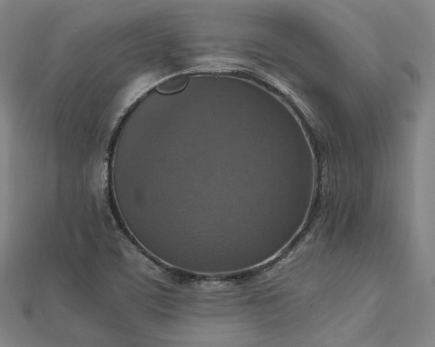 X0000112771459200909031601