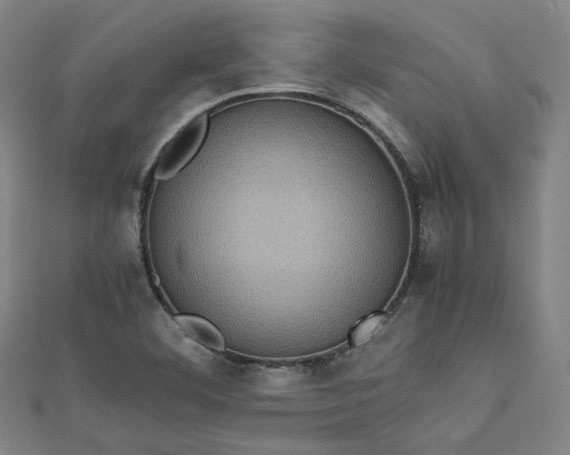 X0000112771460200909031601