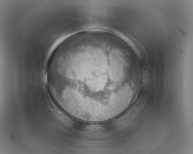 X0000112771462200909031601