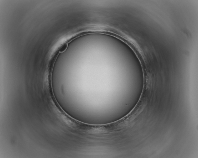 X0000112771464200909031601