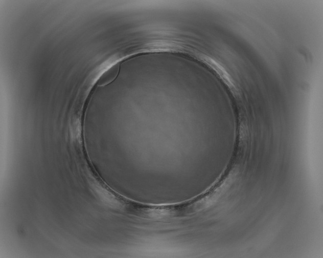 X0000112771465200909031601