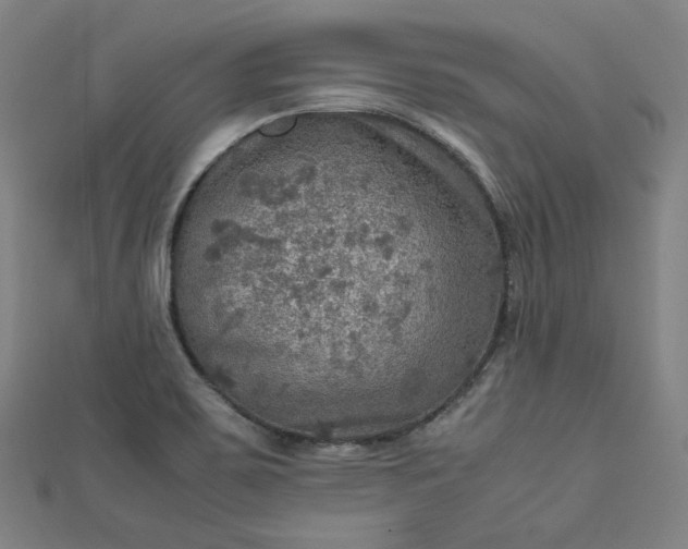 X0000112771467200909031601