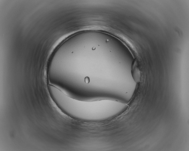 X0000112771468200909031601