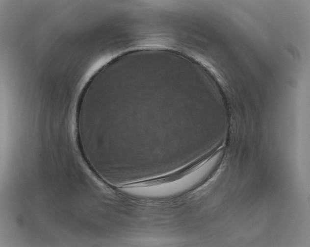 X0000112771469200909031601