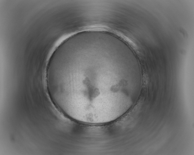 X0000112771470200909031601