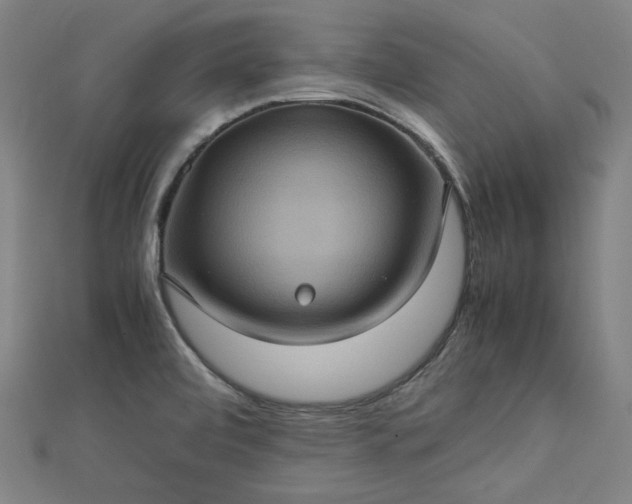 X0000112771472200909031601