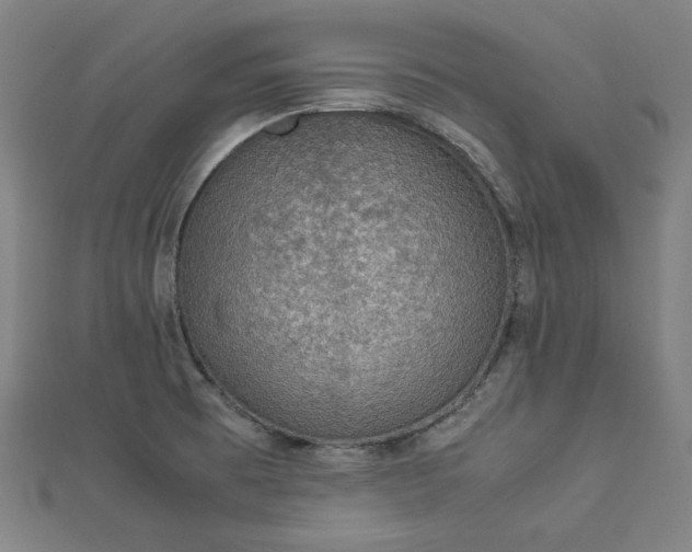 X0000112771473200909031601