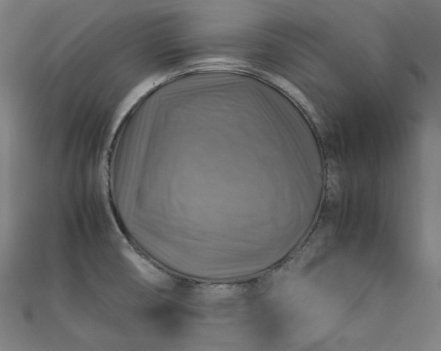 X0000112771474200909031601