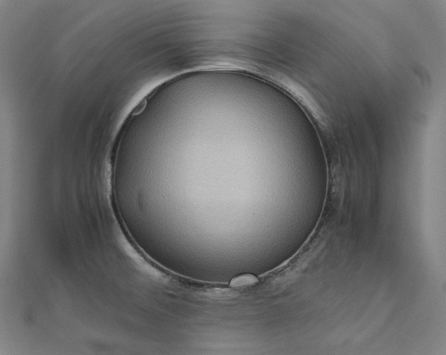 X0000112771476200909031601