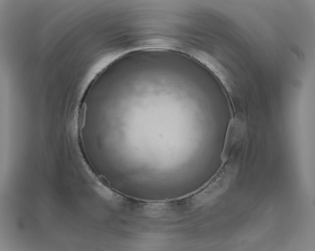 X0000112771477200909031601