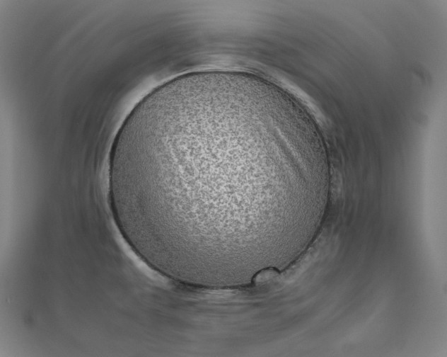 X0000112771479200909031601