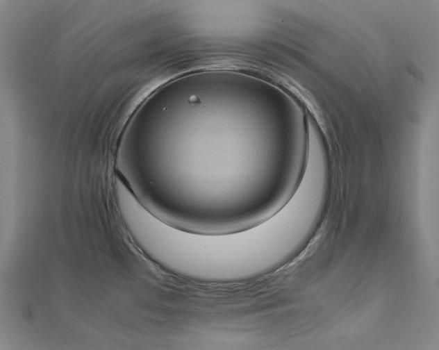 X0000112771481200909031601