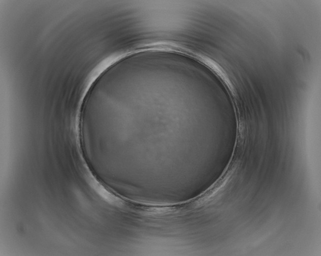 X0000112771482200909031601