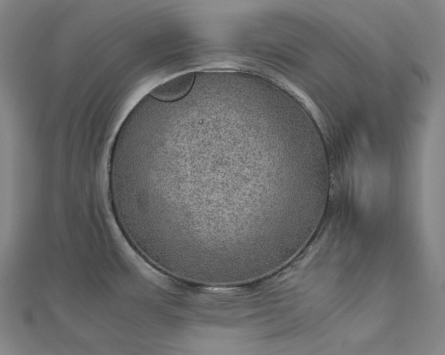 X0000112771483200909031601