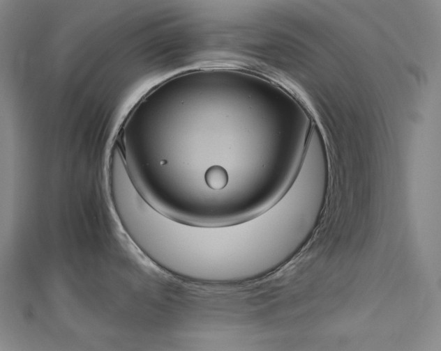 X0000112771488200909031601