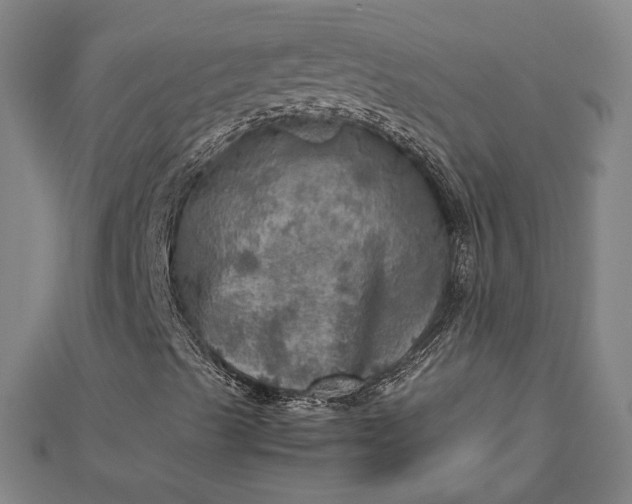 X0000112771489200909031600