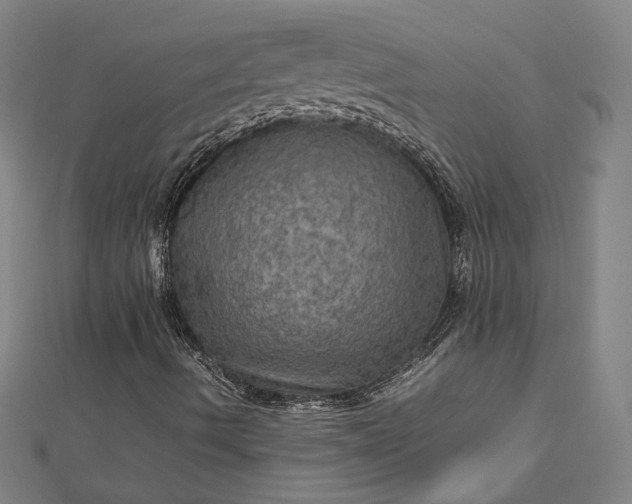 X0000112771490200909031600