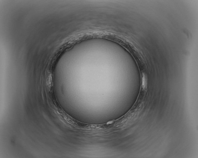 X0000112771492200909031600