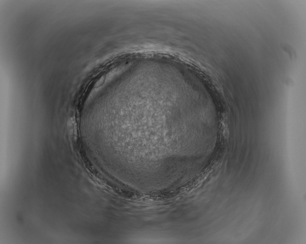 X0000112771493200909031600