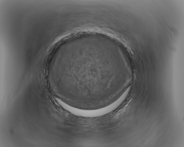 X0000112771494200909031600