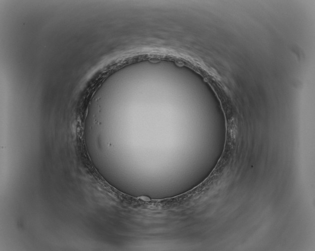 X0000112771495200909031600