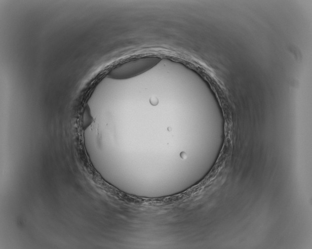 X0000112771496200909031600