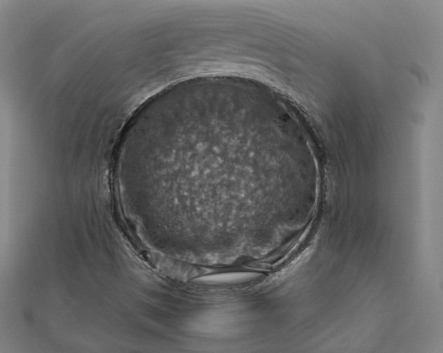 X0000112771497200909031600