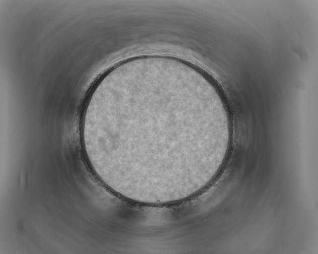 X0000112771498200909031600