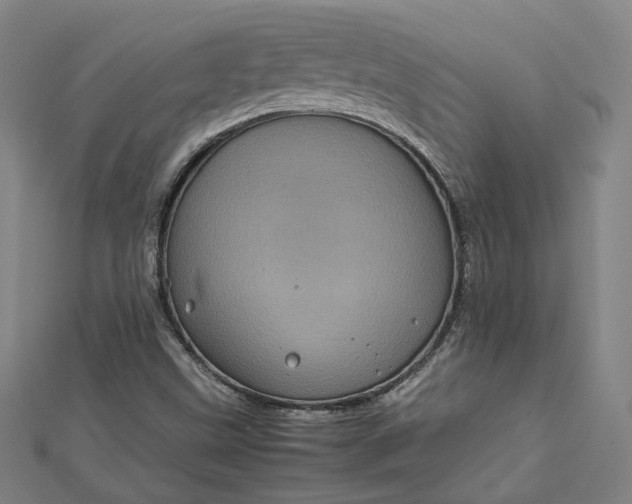 X0000112771499200909031600