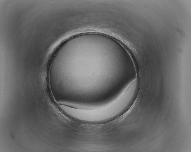 X0000112771502200909031600