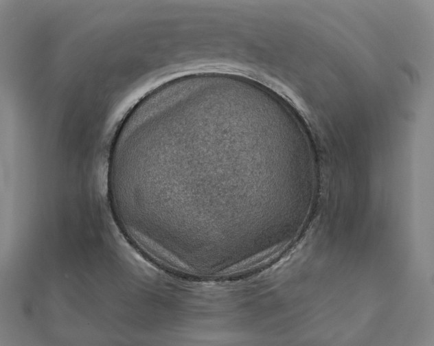 X0000112771504200909031600