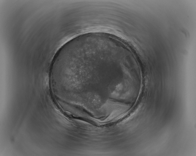 X0000112771505200909031600