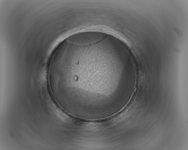 X0000112771506200909031600