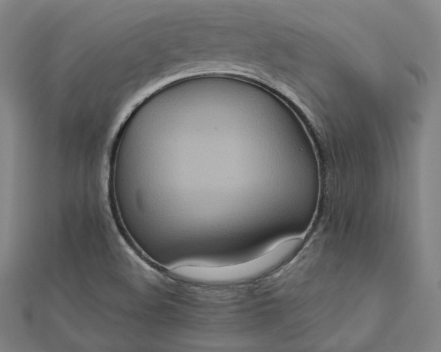 X0000112771508200909031600