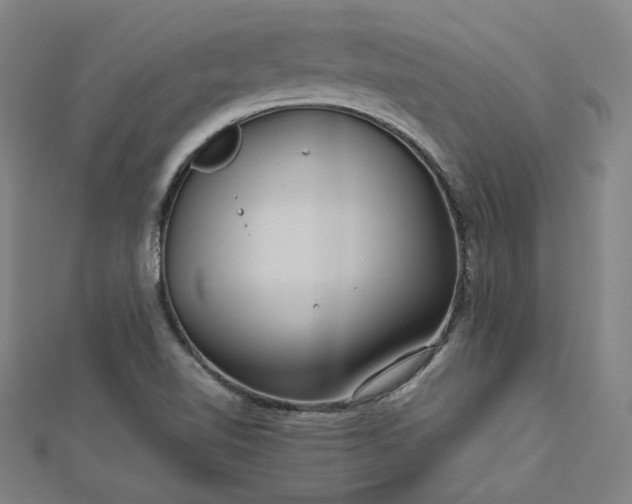 X0000112771510200909031600